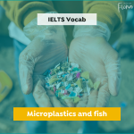 IELTS topics: microplastics