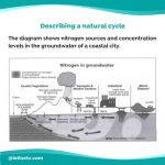 How to describe a natural cycle for IELTS Writing Task 1