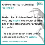 IELTS Listening Multiple Choice Honey bees in Australia
