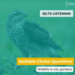 IELTS Listening multiple choice practice wildlife in city gardens