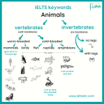 IELTS vocabulary animals