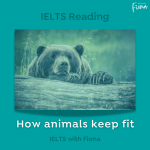 IELTS Reading How animals keep fit